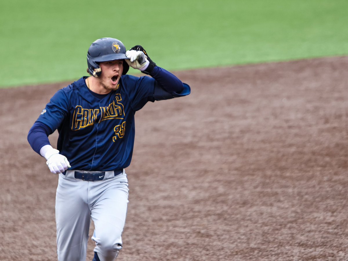 Isabella Zinchini tweet media