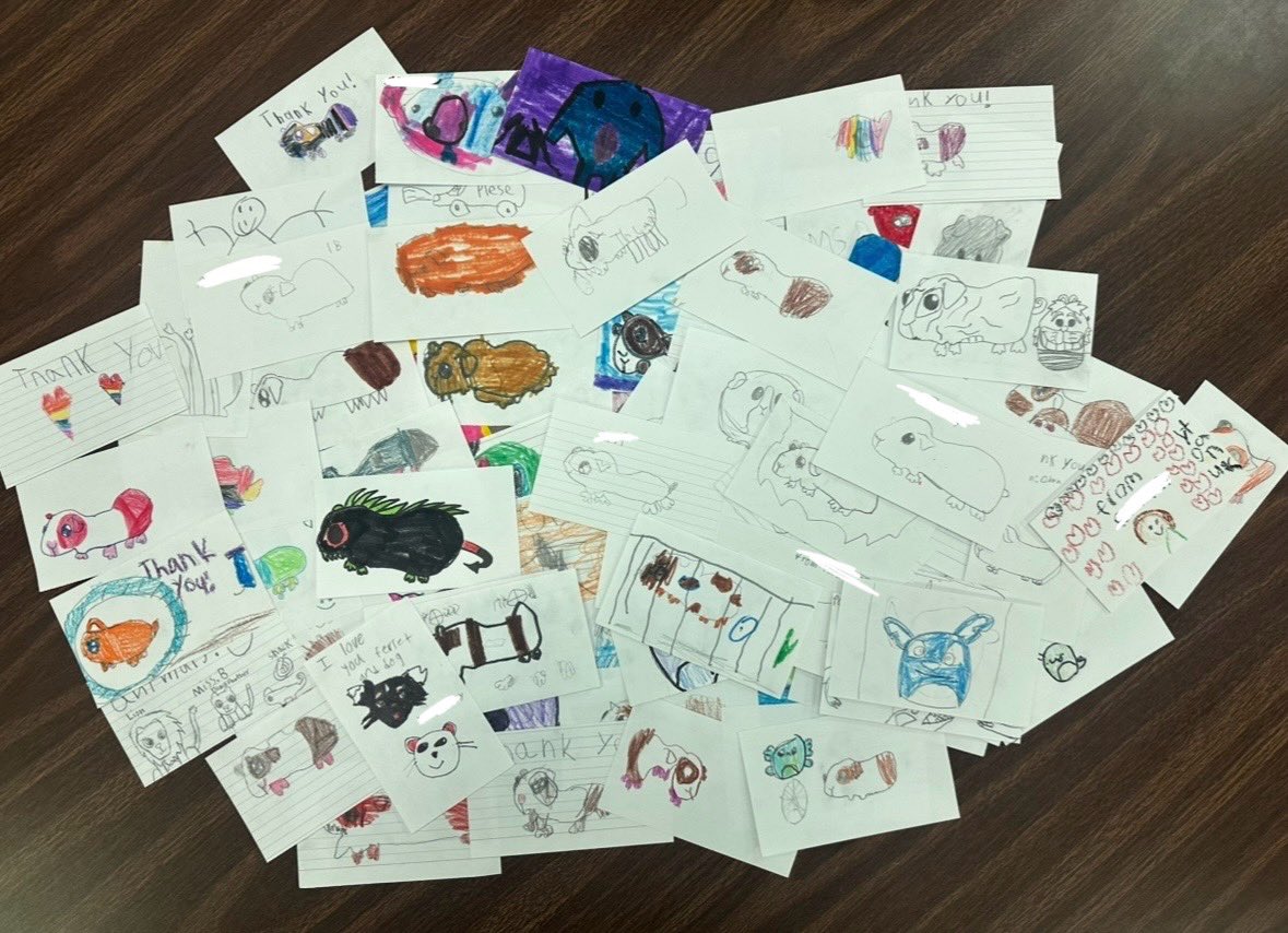 Kaylea Brokering tweet media