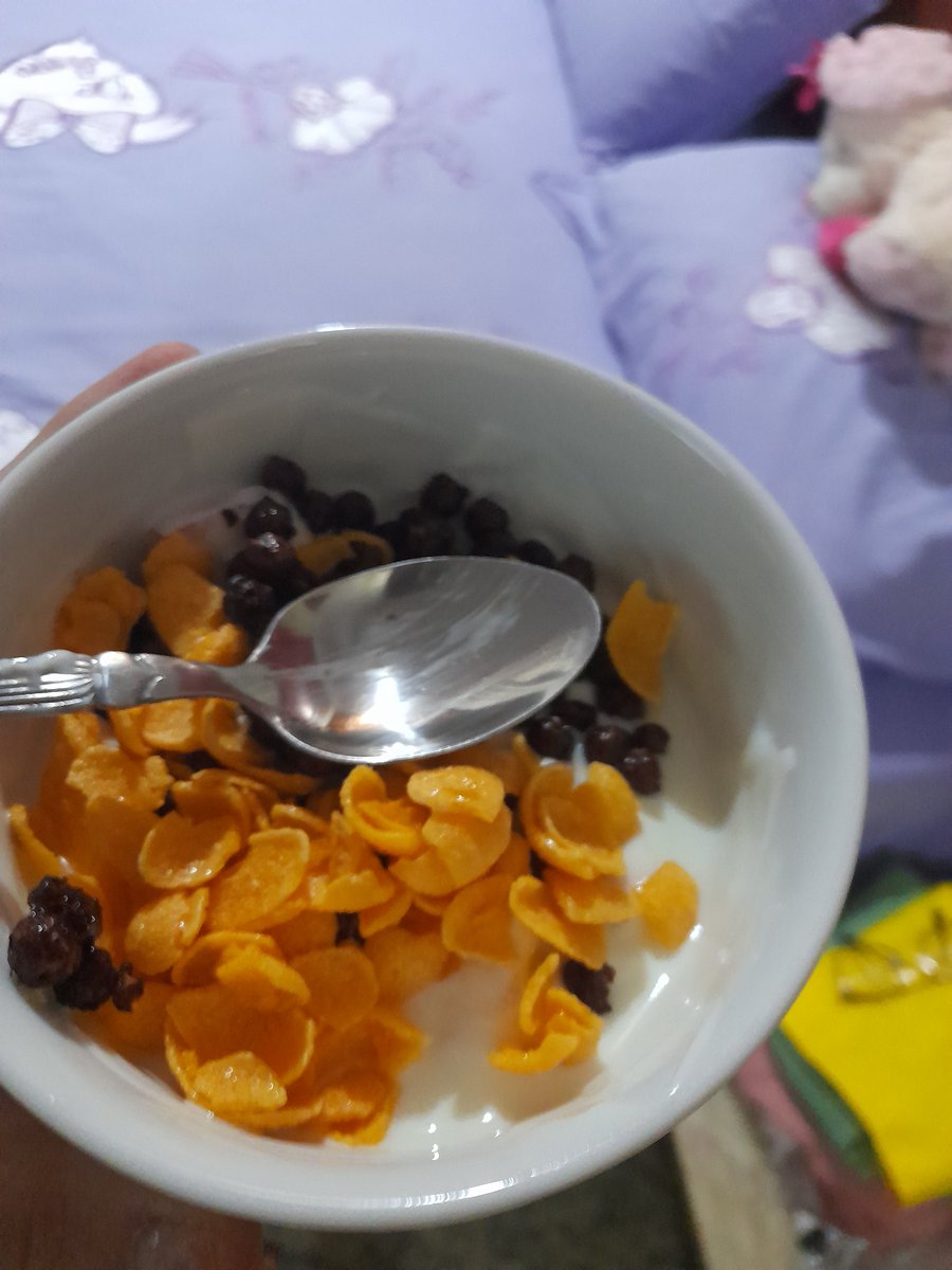 letskcaal's tweet photo. Mega bowls https://t.co/8Cmo79kXtb