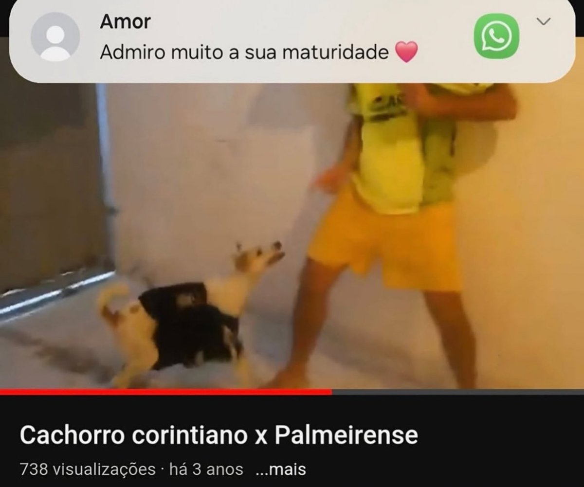 shitpostverdade's tweet photo. https://t.co/B3bYZgnsrM