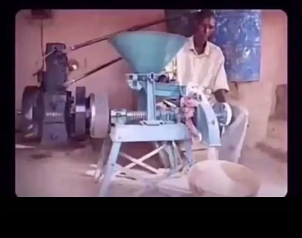 leelo5080's tweet photo. Every ewe mans dream job https://t.co/9V03fempGN