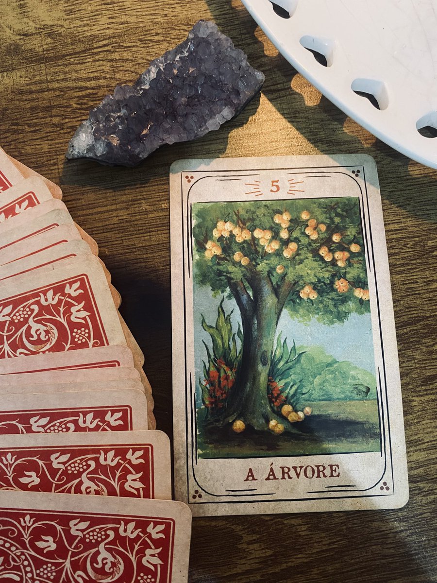 melloracles's tweet photo. ♓️✨ Peixes:

Março te traz uma energia de renovação, de alguma forma você vai perceber que para colher frutos melhores na sua vida é preciso amadurecer, mudar seus pensamentos, buscar mais estabilidade nas suas emoções, buscar uma solidificação que a princ��pio começa internamente para então expandir para o externo, até porque tudo no nosso cotidiano é reflexo daquilo que temos dentro de nós.
Esse novo mês trará progresso, mudança de hábitos, a necessidade também de cuidar um pouco mais da saúde física e mental, assim como também vai cobrar um amadurecimento para entender o que hoje precisa se desprender, porque até mesmo as árvores se desprendem das folhas velhas que já não embelezam as mesmas, use isso como exemplo.

Março será como um convite para começar a cultivar aquilo que deseja colher tanto hoje, quanto lá na frente, vai te ajudar a trabalhar a paciência, entender os processos, saber administrar melhor o que se tem e o que poderá ganhar (o que não será pouco), março será o ponta pé inicial para a materialização de sonhos e projetos futuros, do seu novo “eu”.