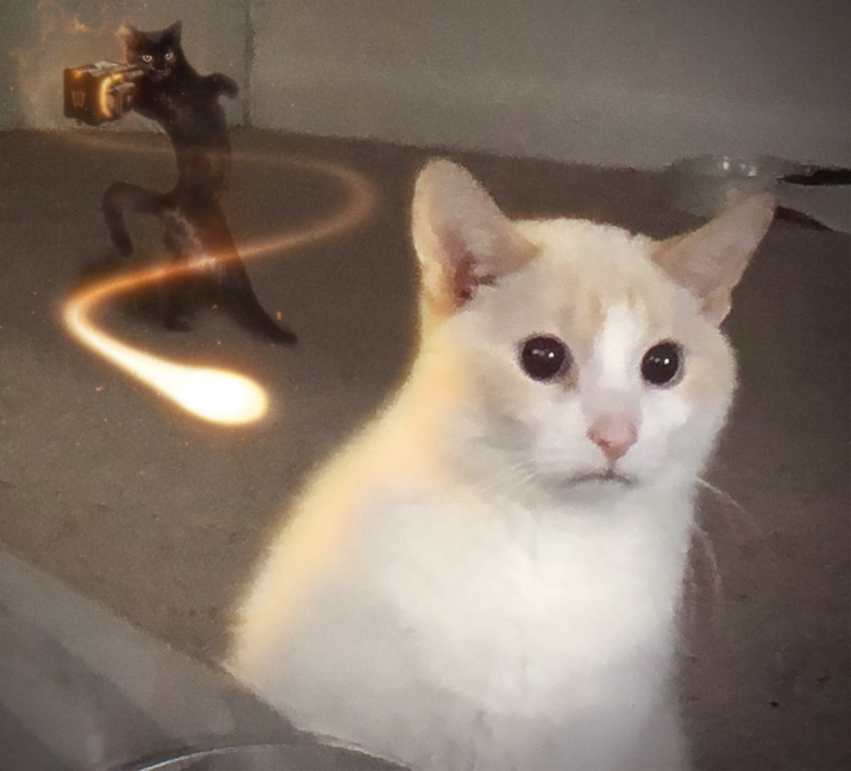 odd (@oddmb_) on Twitter photo 