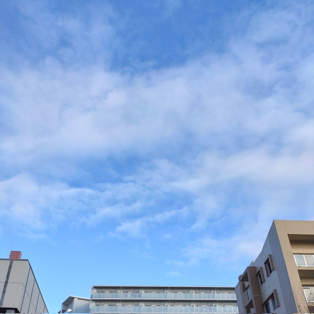 XmugLwwY8PlmunH's tweet photo. お早うございます🙂↕️
令和7年3月8日(土) 午前8時04分 大阪北部は晴れ時々曇り☀/☁、気温2.1℃
本日は公休
風邪でダウンぎみです🤧
今朝の一枚
『ピーター・アンド・ゴードン』(1964)
英国盤1stアルバムです
皆様、良い週末をお送り下さい👍
#イマソラ
#Peter_&_Gordon https://t.co/HfAmxQu5iv