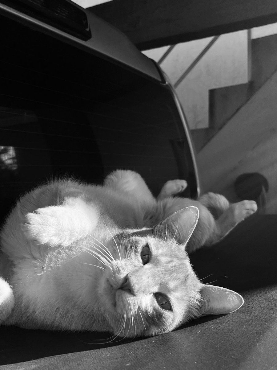 minha estrelinha 🖤