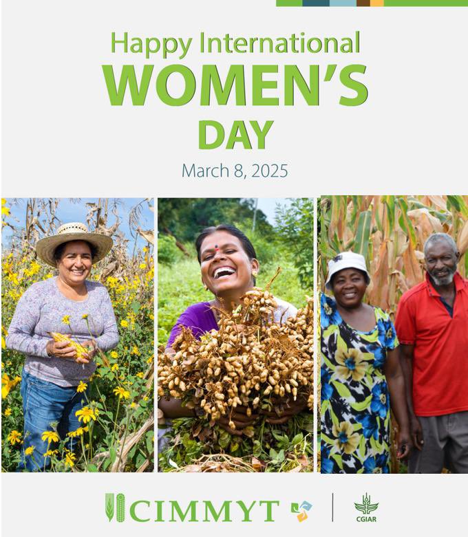 CIMMYT's tweet photo. This #IWD2025, we honor the resilience of women farmers shaping food security across the Global South.🌍CIMMYT is committed to inclusive solutions that enhance productivity and livelihoods, ensuring women have the tools and opportunities to succeed.💜
📖https://t.co/iFBZbcvovr https://t.co/w82bVj4kdn