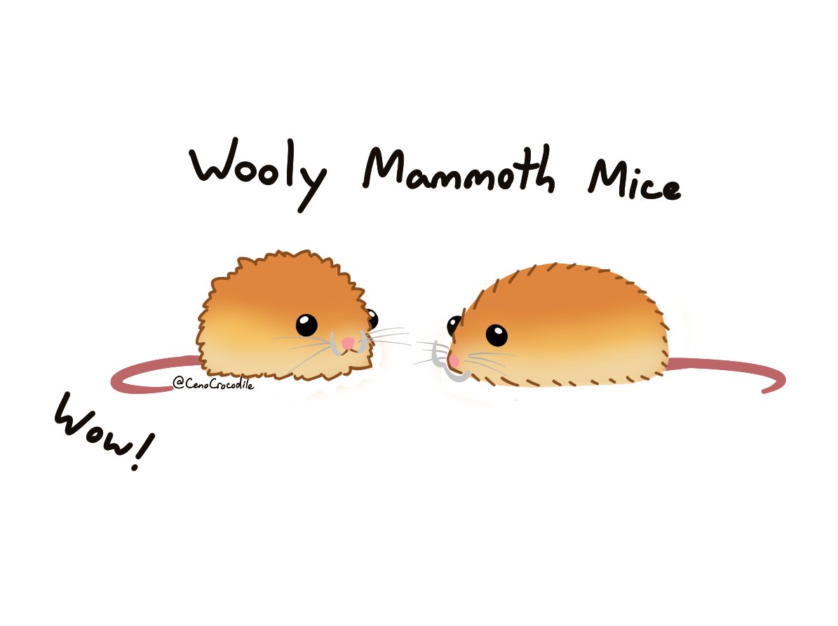 Big news in mouse science