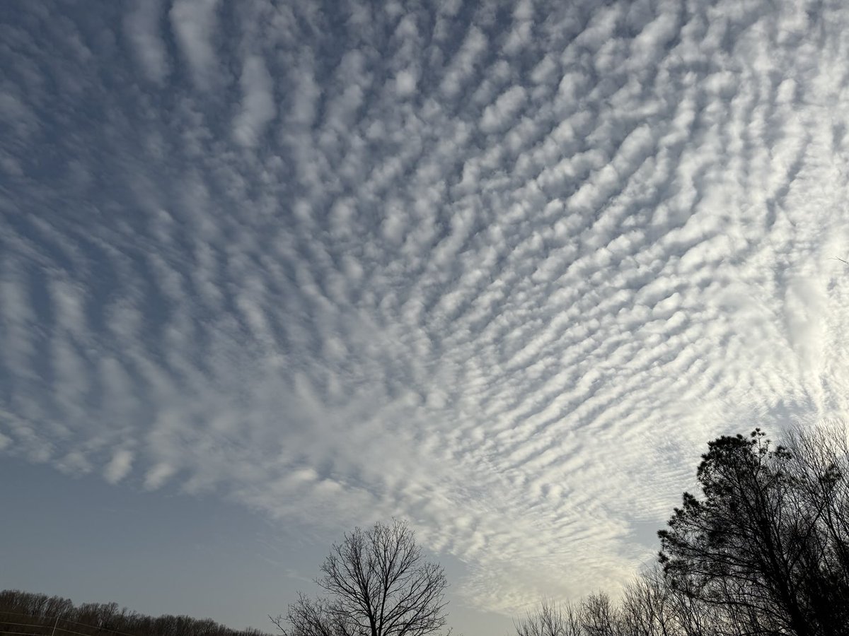 wxhistorian's tweet image. Mind blowing mackerel sky over Central Alabama late this afternoon! @spann