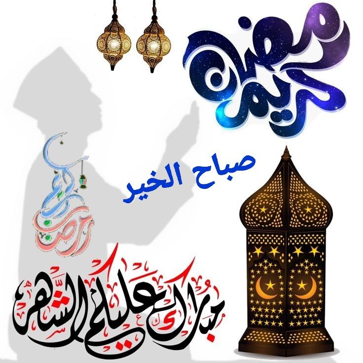 Rada rameshgar (@rezaramesh21390) on Twitter photo 