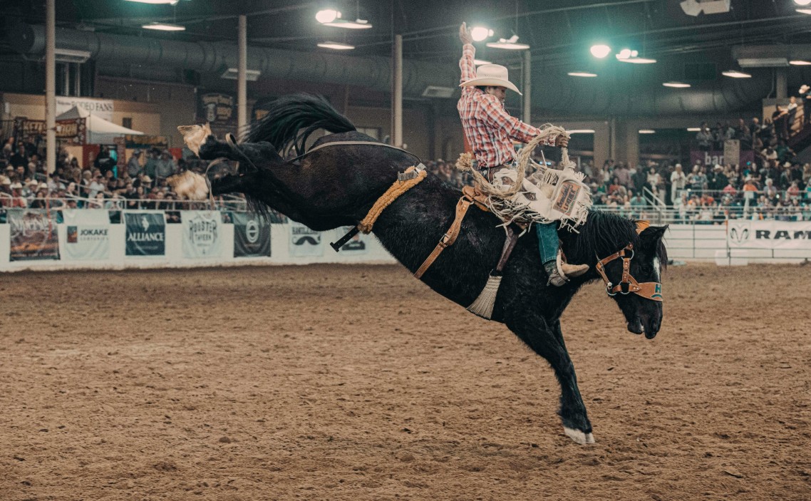 YourRoots1776's tweet photo. Come see us at the Intermountain Icebreaker Rodeo at the Golden Spike Arena in Ogden, UT. 3/5-8/25. It's free to the public. https://t.co/WG02iBiliQπ€ https://t.co/jKMWn2sulI π· #iceribbon #Cowboys #horse #Rodeo #Utah #ogden #golden #Spike2025 #mountains #breakers #yrof #FamilyFun