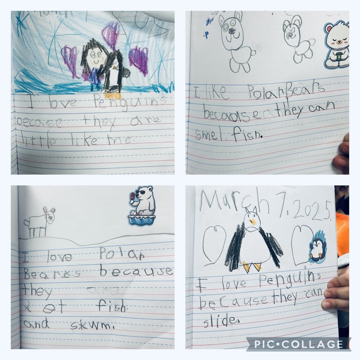 Cheryl O’Donnell tweet media