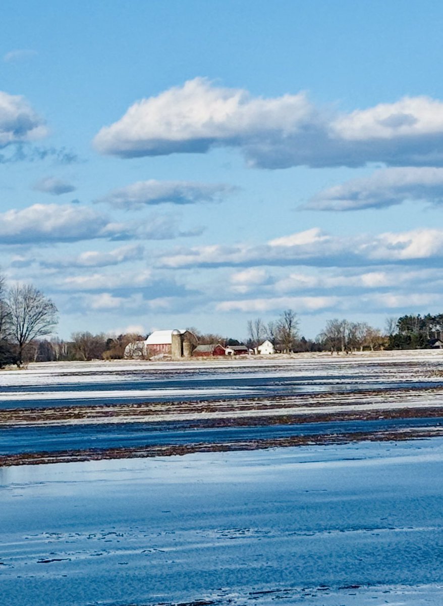 Beautiful early spring day