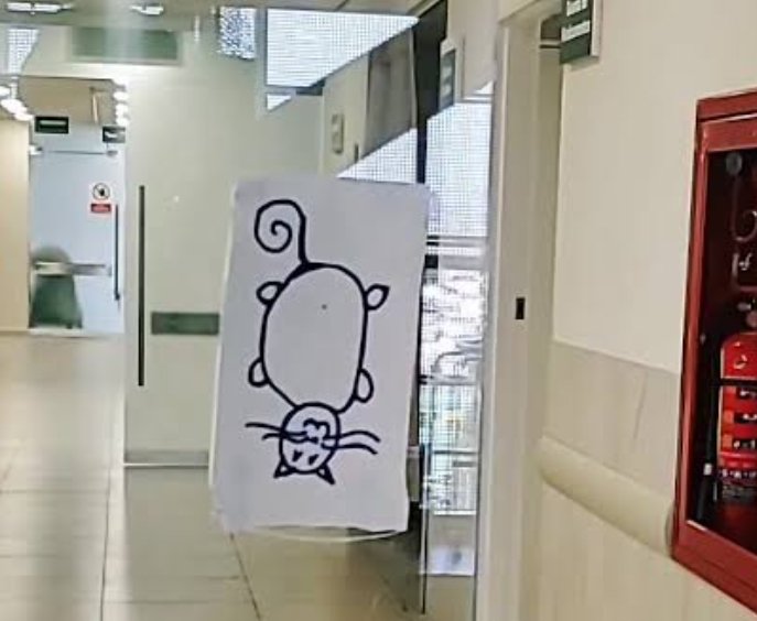 cucofilia4's tweet photo. No importa cuantos gatos de cabeza dibujes, hagas en venda de yeso, ni el diseño, siempre hay un #mip, #semestroso, #Residente, #adscrito, que rompe ese simple hechizo y llena el servicio, con pacientes por demás complicados... https://t.co/Gki4Adbq8s