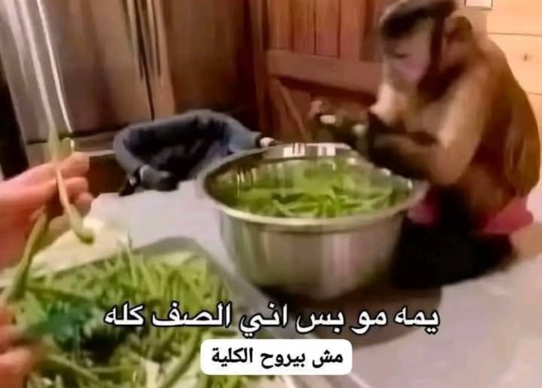 چبل (@yousefgabal1) on Twitter photo 