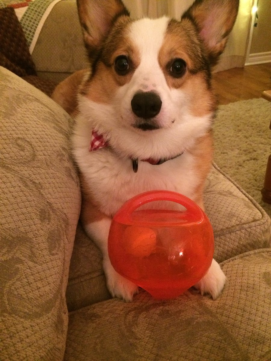 It’s already been a year without you! Whoever said time heals, I’m not sure I will ever get over missing your sweet face.