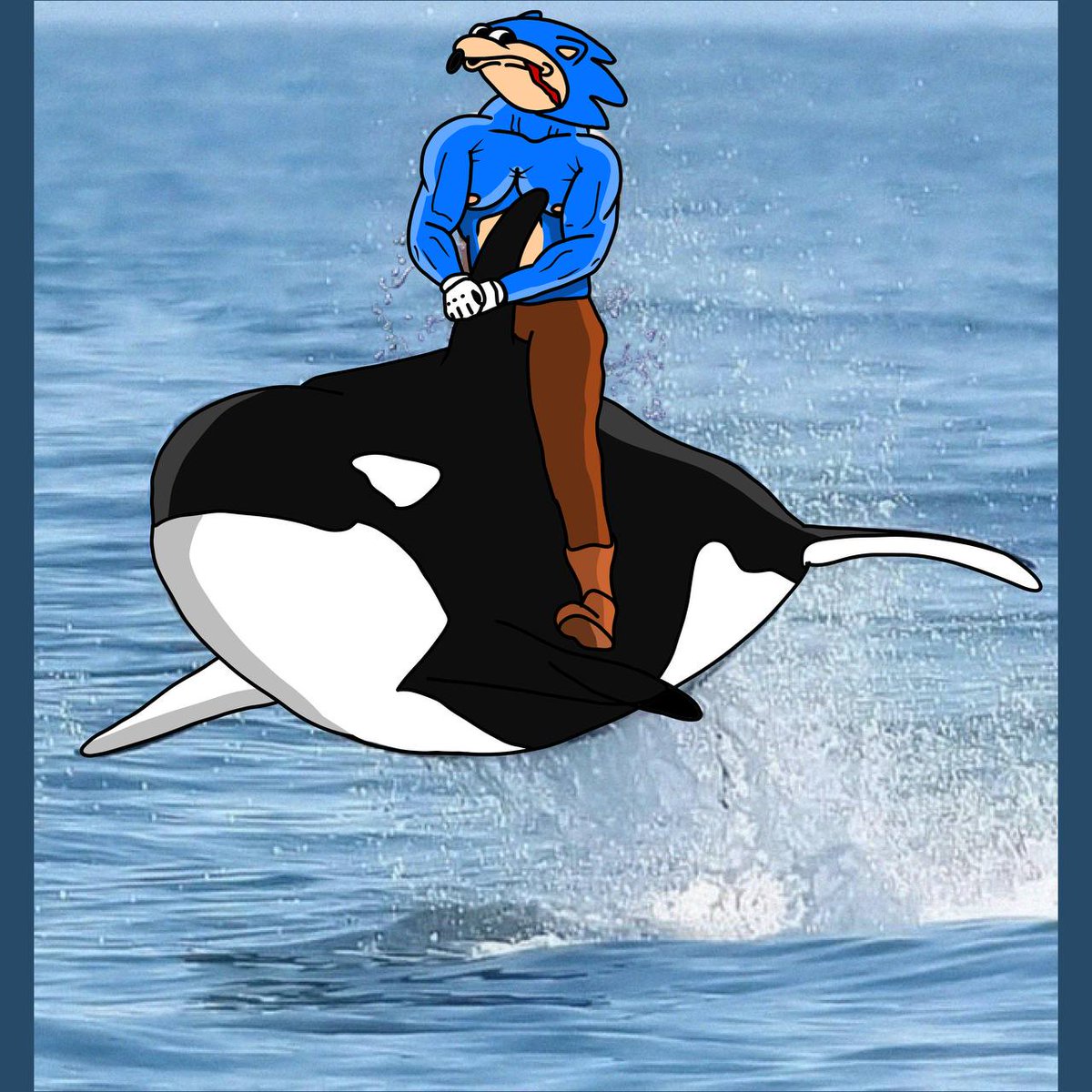 Chadoniconsonic's tweet photo. No matter the current we are riding the market and making waves 💪🏼🦔 https://t.co/Dk7tVcBOeZ