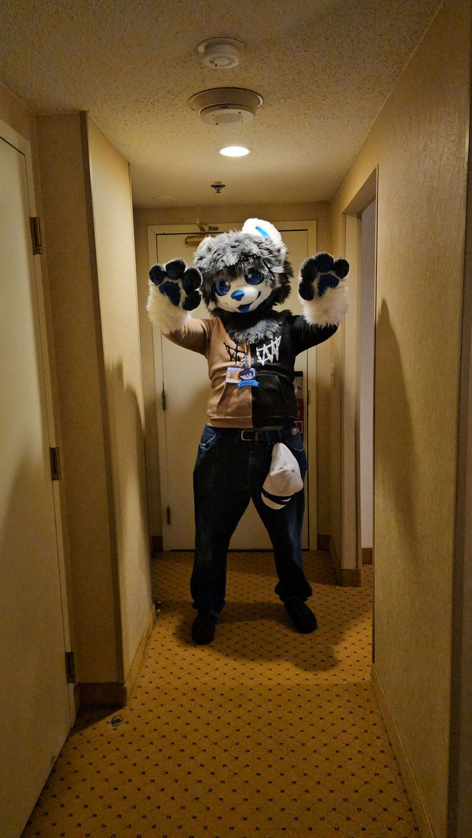 KazooSkyfire's tweet photo. Got to have my partial on for the first time at a convention! More photos to come but for now just these since all the others I have are more than just me in them!

Head and paws made by @MtBOBO236992  and has amazing visibility and breathability, I highly recommend them! https://t.co/I56pRm56iM