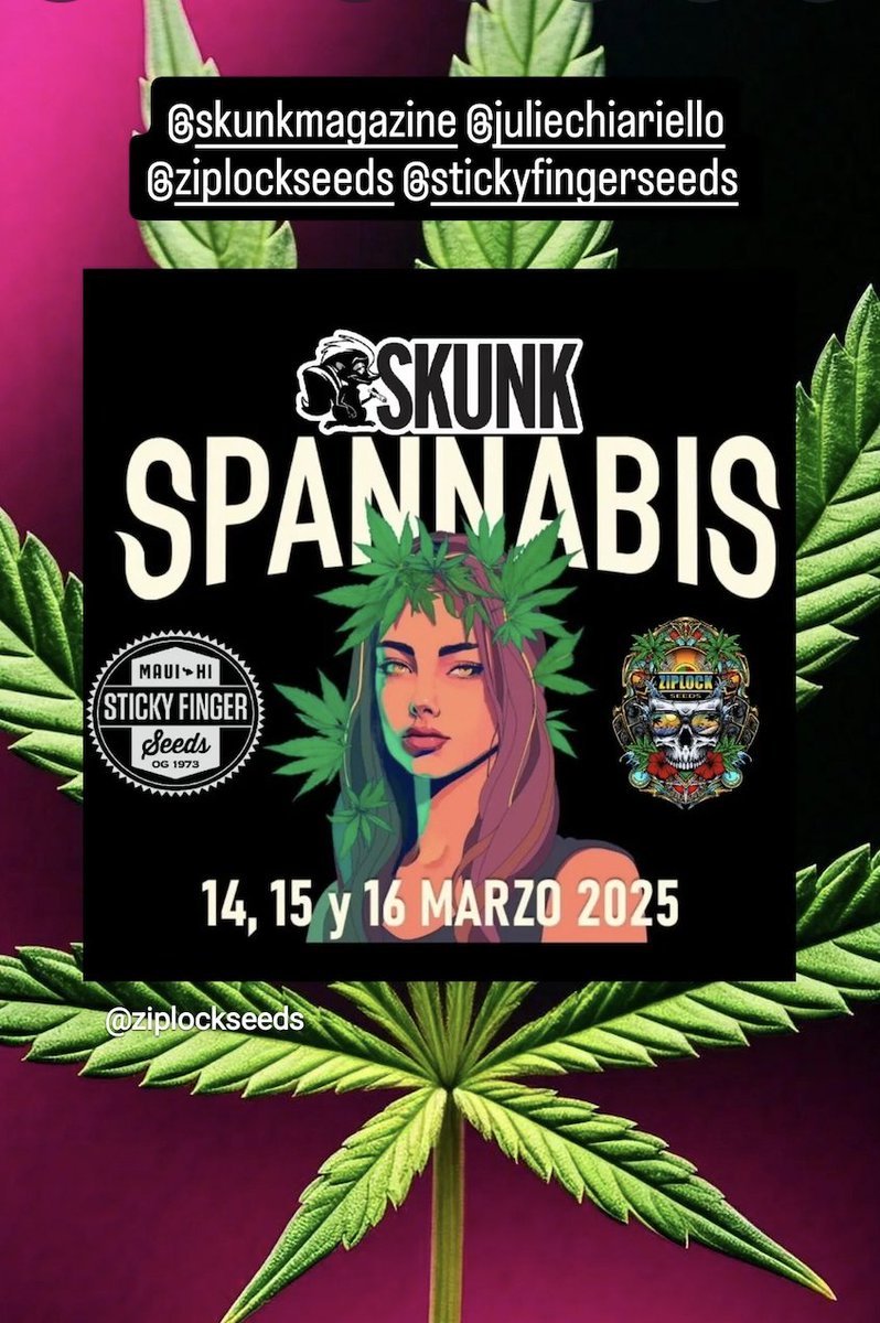 MjBizWire's tweet photo. Sticky Finger Seeds &amp; Ziplock Seeds to Be Featured by Skunk Magazine and Humboldt Seed Co. at Spannabis 2025 in Barcelona!

https://t.co/mF69S9PYeQ https://t.co/V2Mb9hvsoz
