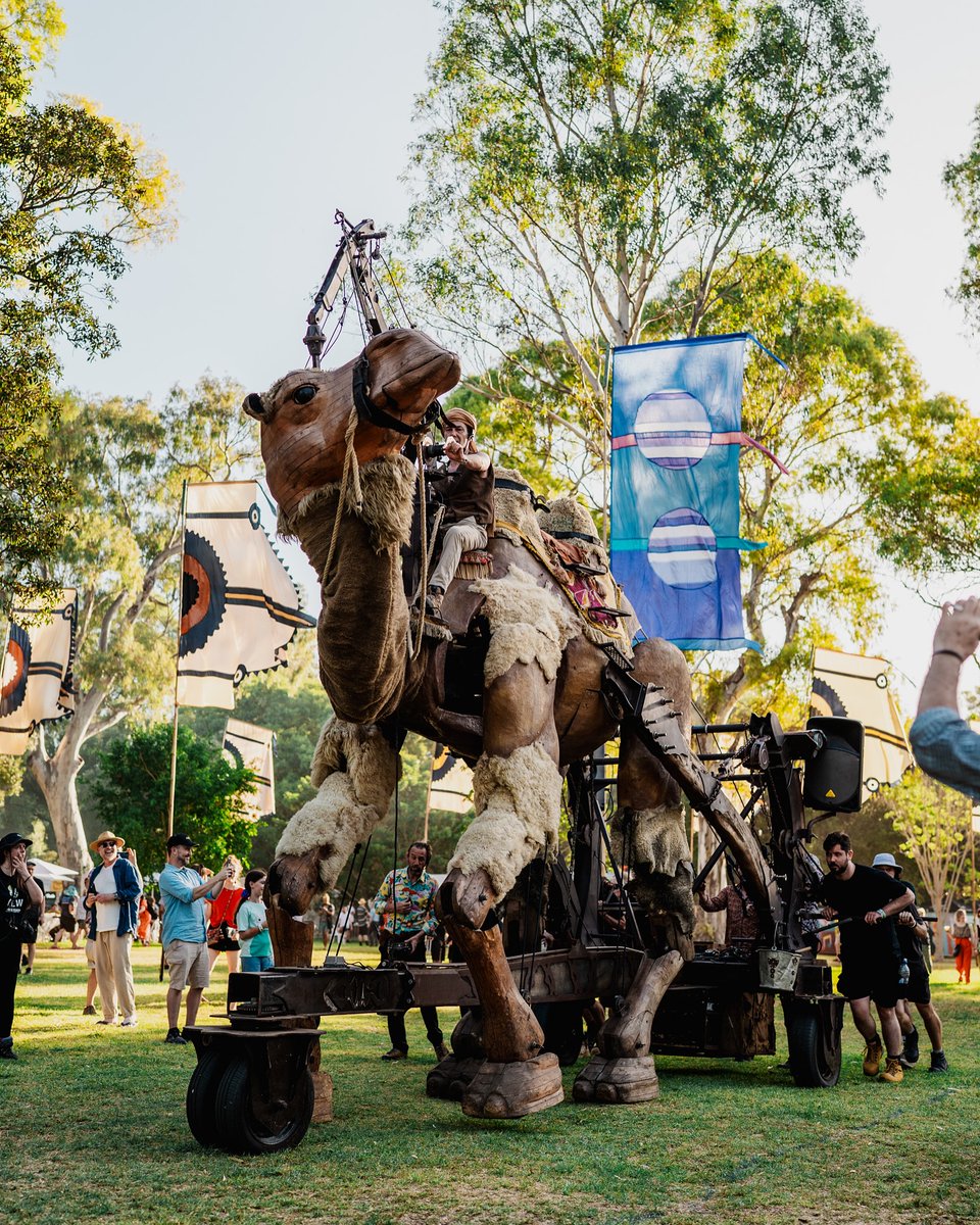 WOMADelaide tweet media