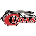 HSSportsFlorida tweet media