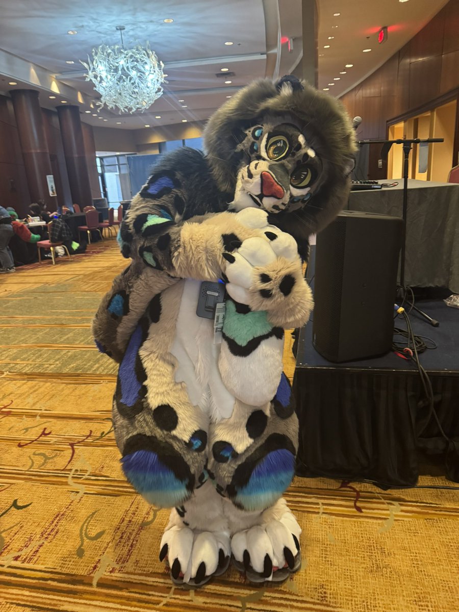 WhitePaw80's tweet photo. Tag them if ya know them!
#Furmore #Furthemore2025 https://t.co/pUMnR7mKM0