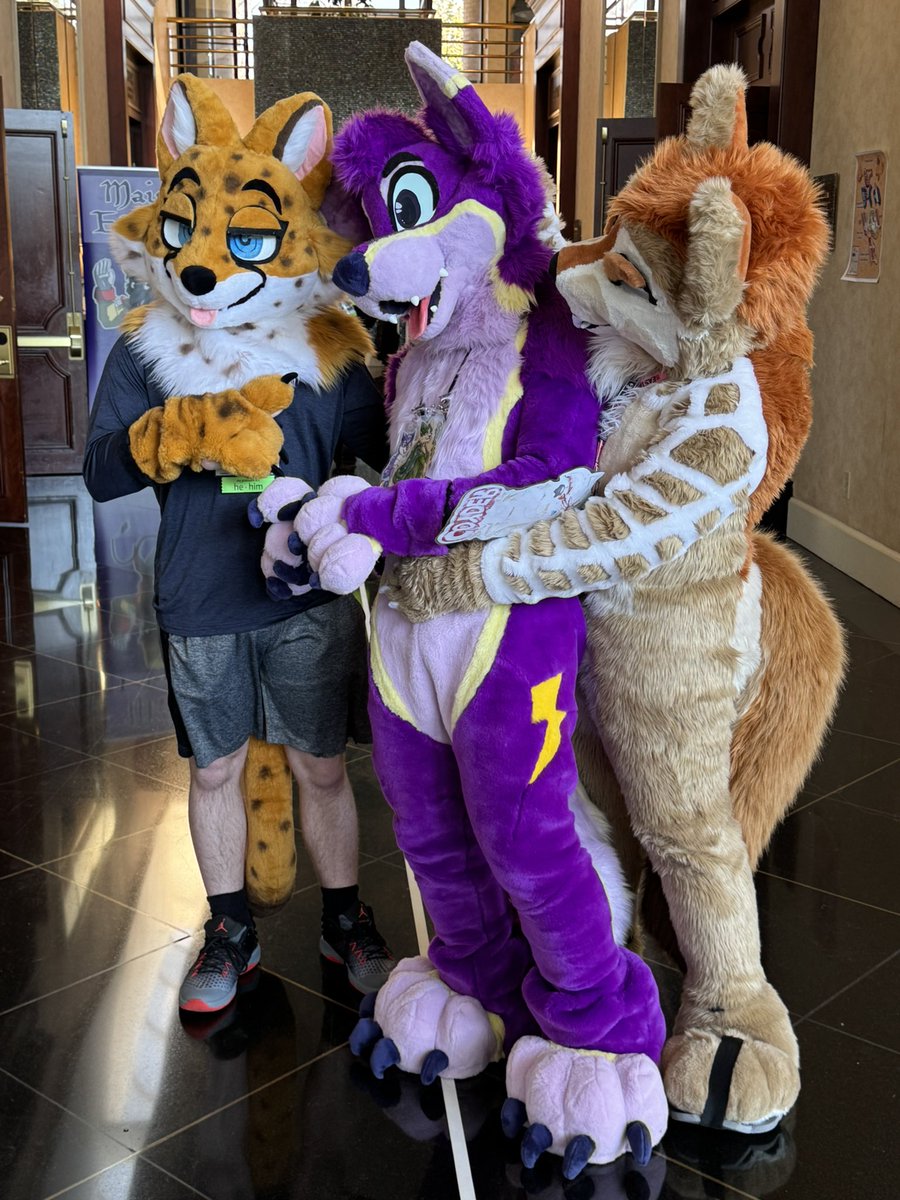 WhitePaw80's tweet photo. Tag them if ya know them!
#Furmore #Furthemore2025 https://t.co/pUMnR7mKM0