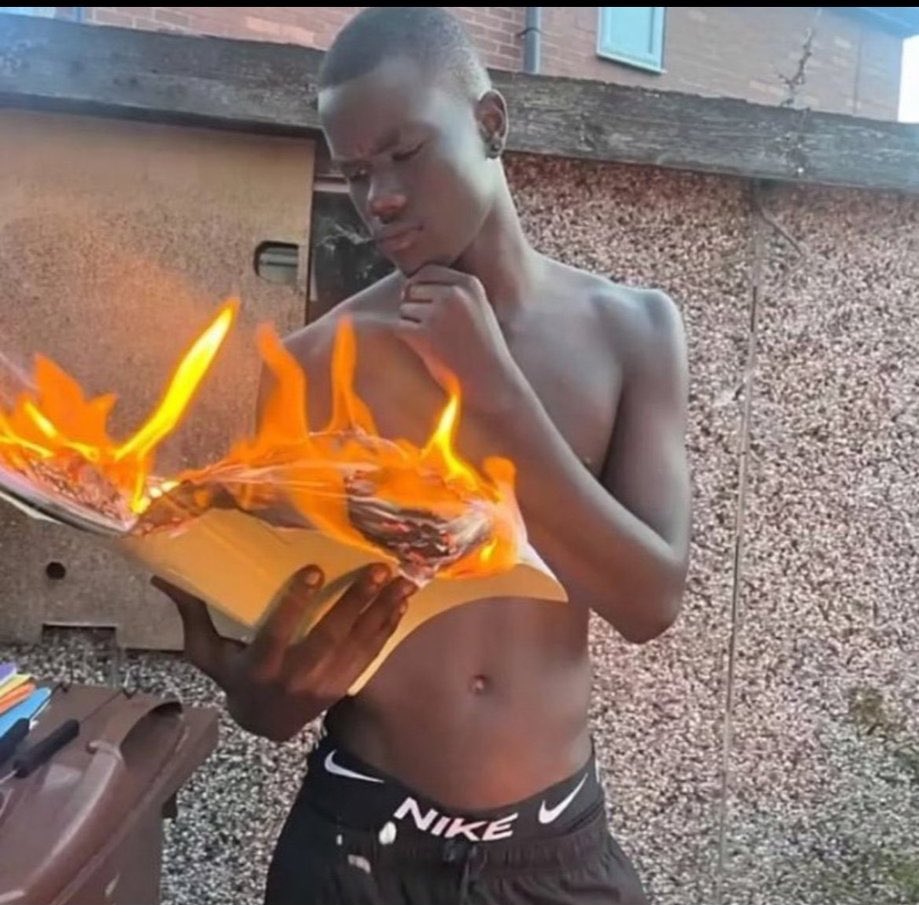 e se a tahereh colocou esses pirralhos pra serem do adam pq a juliette tá grávida nesse livro (por isso tá passando mal) e veremos a cena do warner descobrindo que será papai