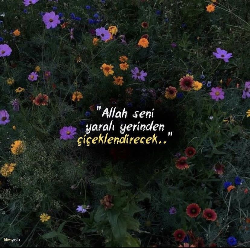tarotmelsii's tweet photo. 🌺🌼🌸💐🌼 https://t.co/QZuHrjeH2D