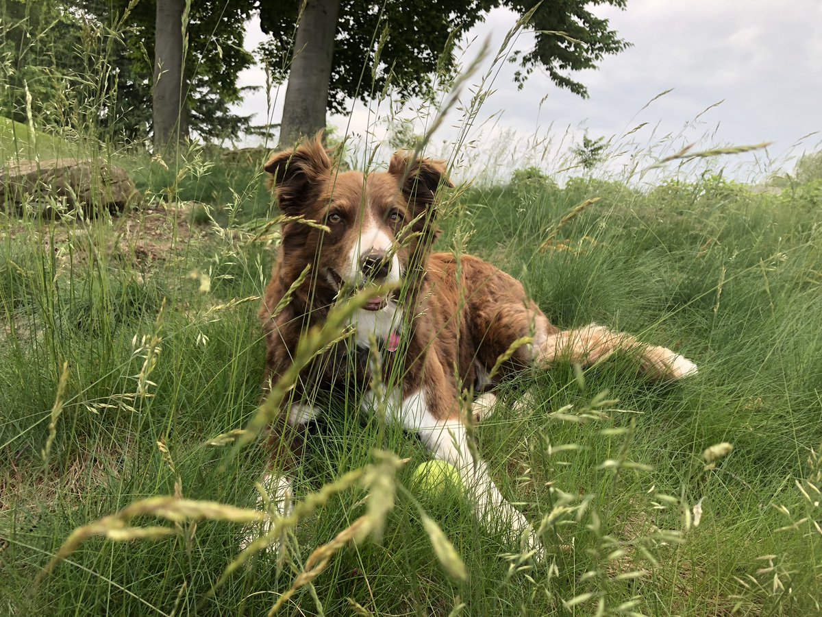 Andrew Dooley tweet media