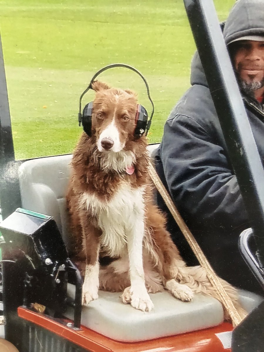 Andrew Dooley tweet media