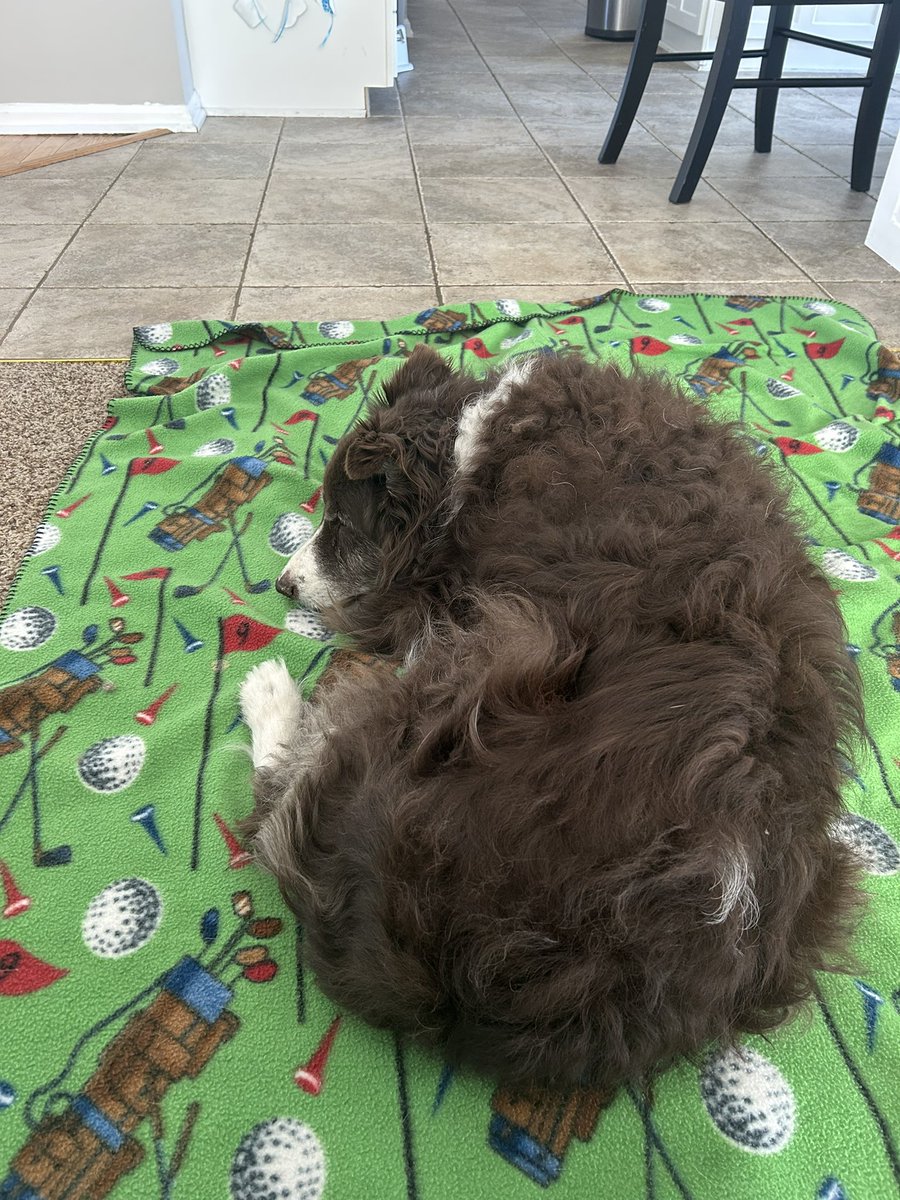 Andrew Dooley tweet media