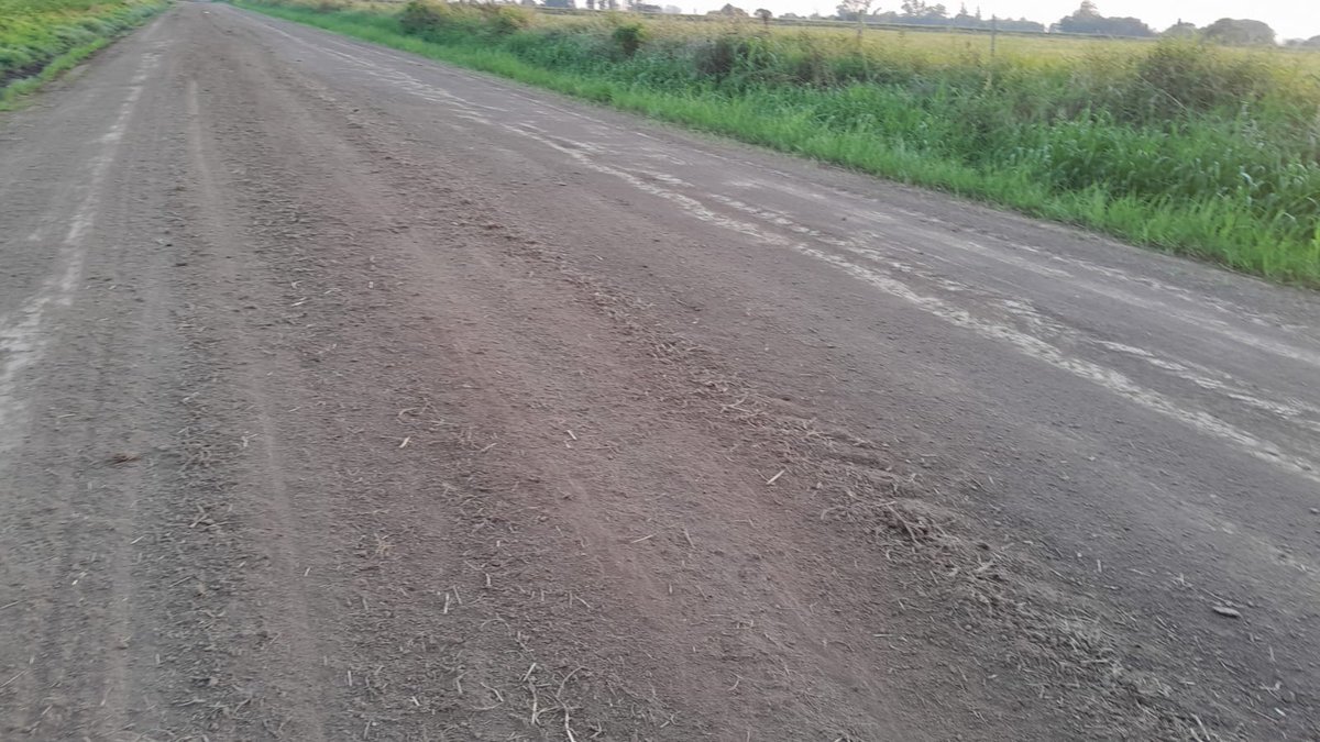 mchiariottiok's tweet photo. 🚜💪 En #LlambiCampbell, seguimos adelante con el mantenimiento de nuestros caminos rurales, un pilar clave para el desarrollo de nuestra producción. #PuebloDeTrabajo #MantenimientoDeCaminos https://t.co/mcSdFXNYos