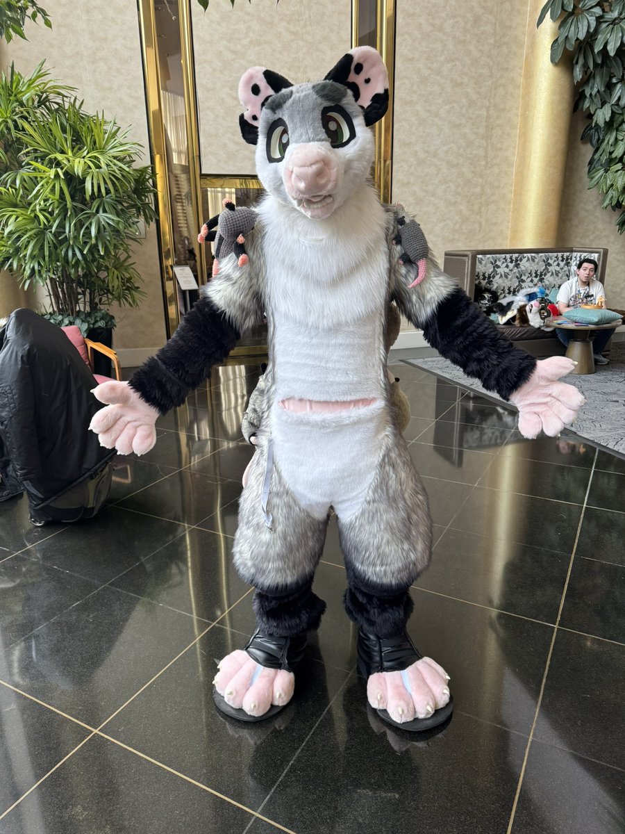 WhitePaw80's tweet photo. An awesome
Possum at @FurtheMore
#Furmore #Furthemore2025 https://t.co/bWzxzzznBz