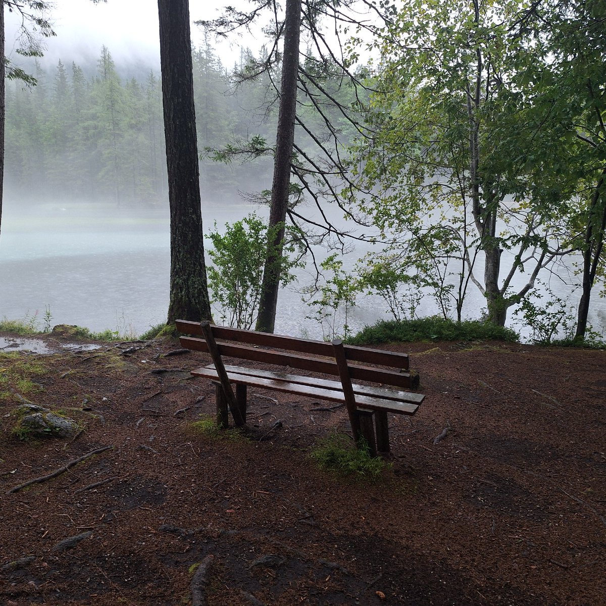 Here's a little something before my album drops:)
Double ep with <a href="/benji64music/">Cryfer/Benji</a> (cryfer) featuring <a href="/xandrey05/">xandrey</a> drops MARCH 14TH!!!
Don't you dare miss it:)

Mixed and mastered by <a href="/xandrey05/">xandrey</a>