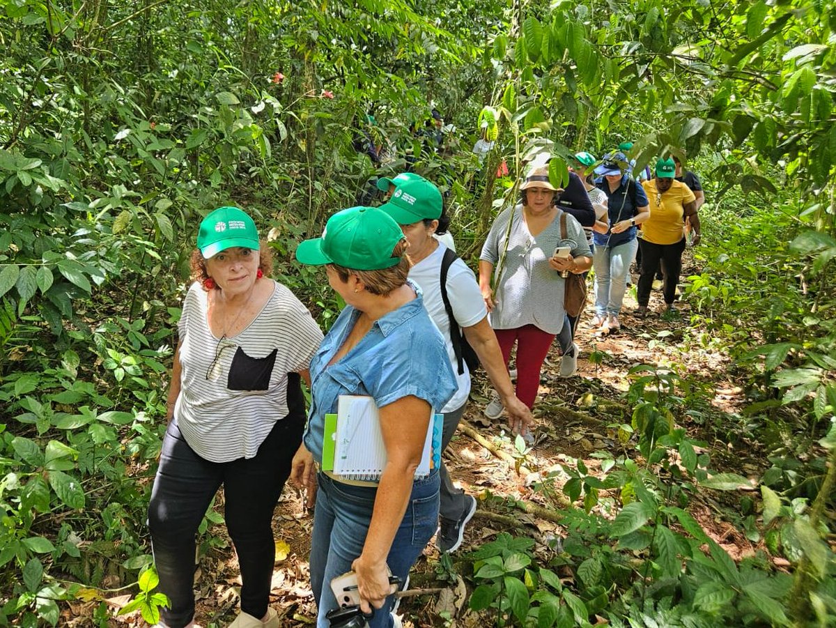 ✅ Esta semana, más de 30 mujeres se reunieron en la finca de la Red Sancarleña de Mujeres Rurales 🇨🇷 para participar en la escuela de campo: Mujeres rurales y bosques sostenibles ☀️🌳

A través de charlas y visitas a fincas, este grupo de emprendedoras que trabajan en la gestión