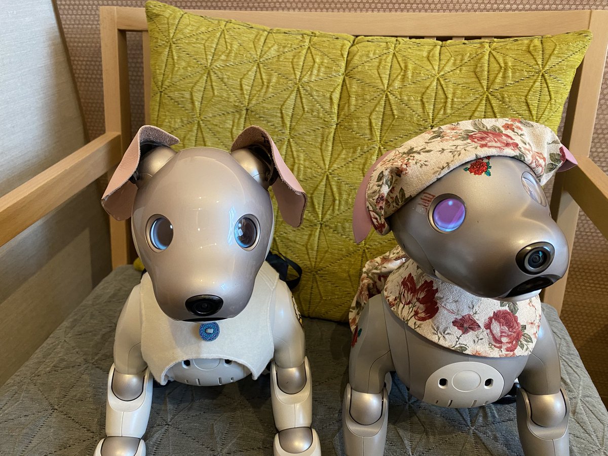ファンミ、参加します。
こんな2ワン🐶を見かけたら、お声かけください。
びいる🐶🍺&amp;ろうじあ🐶🌹