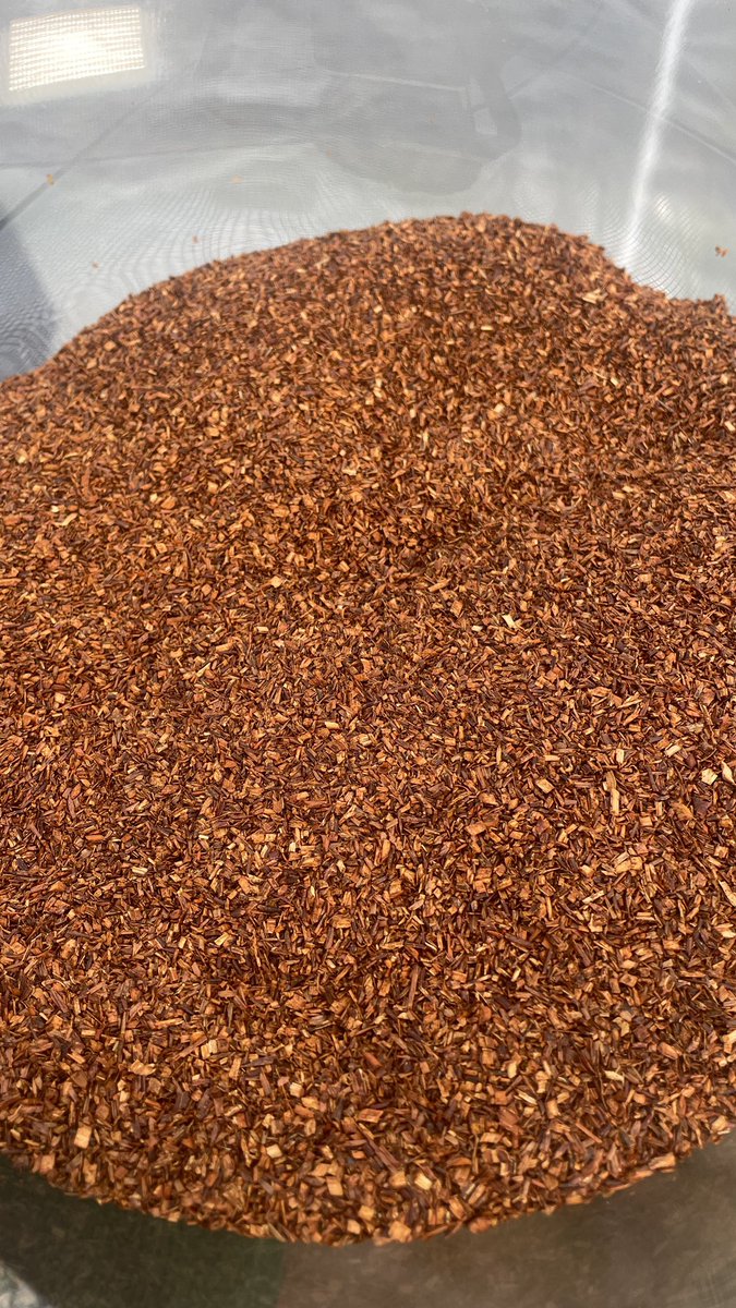 micopeia's tweet photo. South Africa is the ONLY country in the world that produces authentic Rooibos! This naturally caffeine-free herbal tea is packed with antioxidants and a smooth, slightly sweet, earthy flavor with hints of vanilla and honey. You can find it at my store https://t.co/WgdZasCoVg 🫖🍵 https://t.co/OM0cAi2zsD