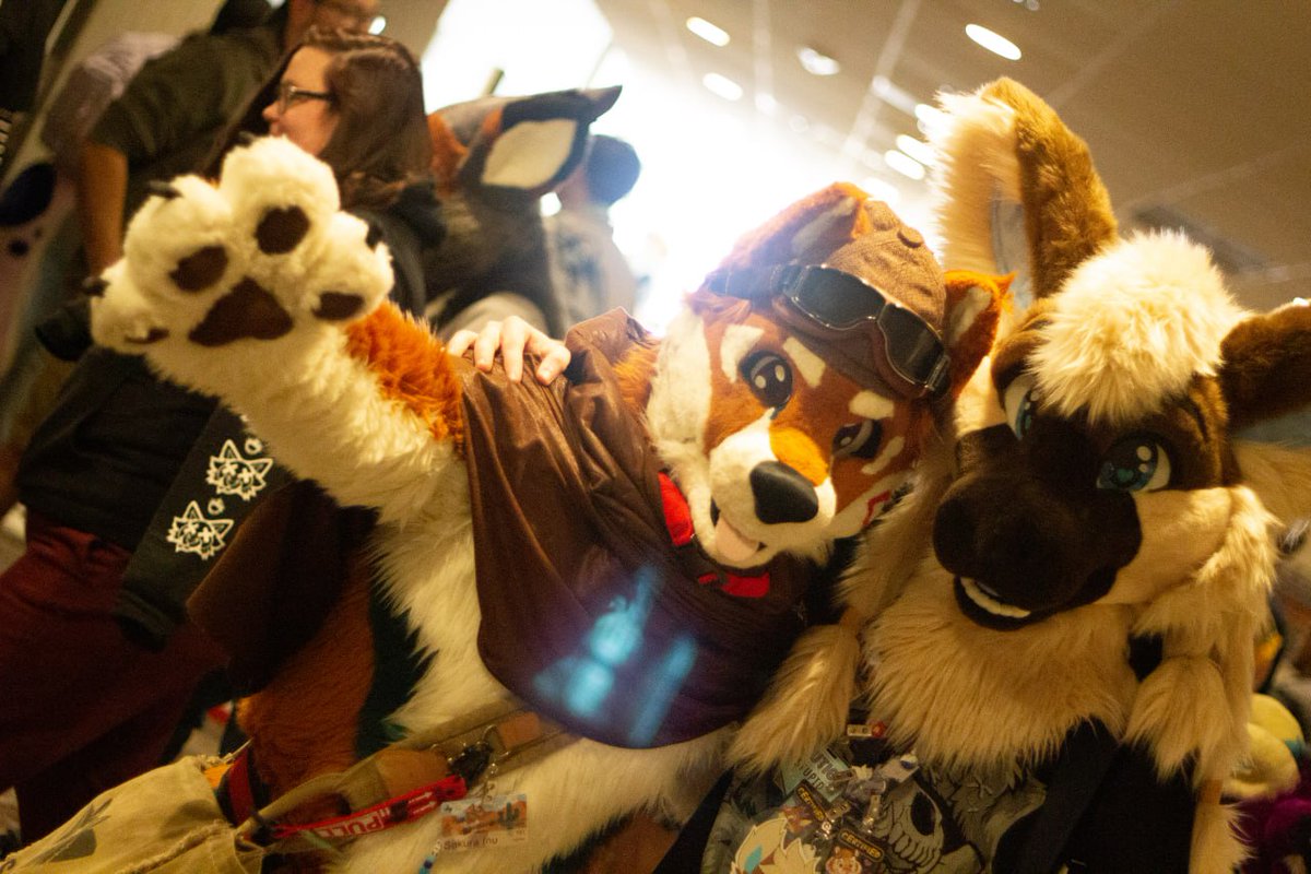 Odeza_TKDerg's tweet photo. It's #FursuitFriday bois! and that means it's weekend time!
Have some photos from #LSFC2025 last weekend :3
๐ธ: @Nuviuq https://t.co/5aqqYKXYjT