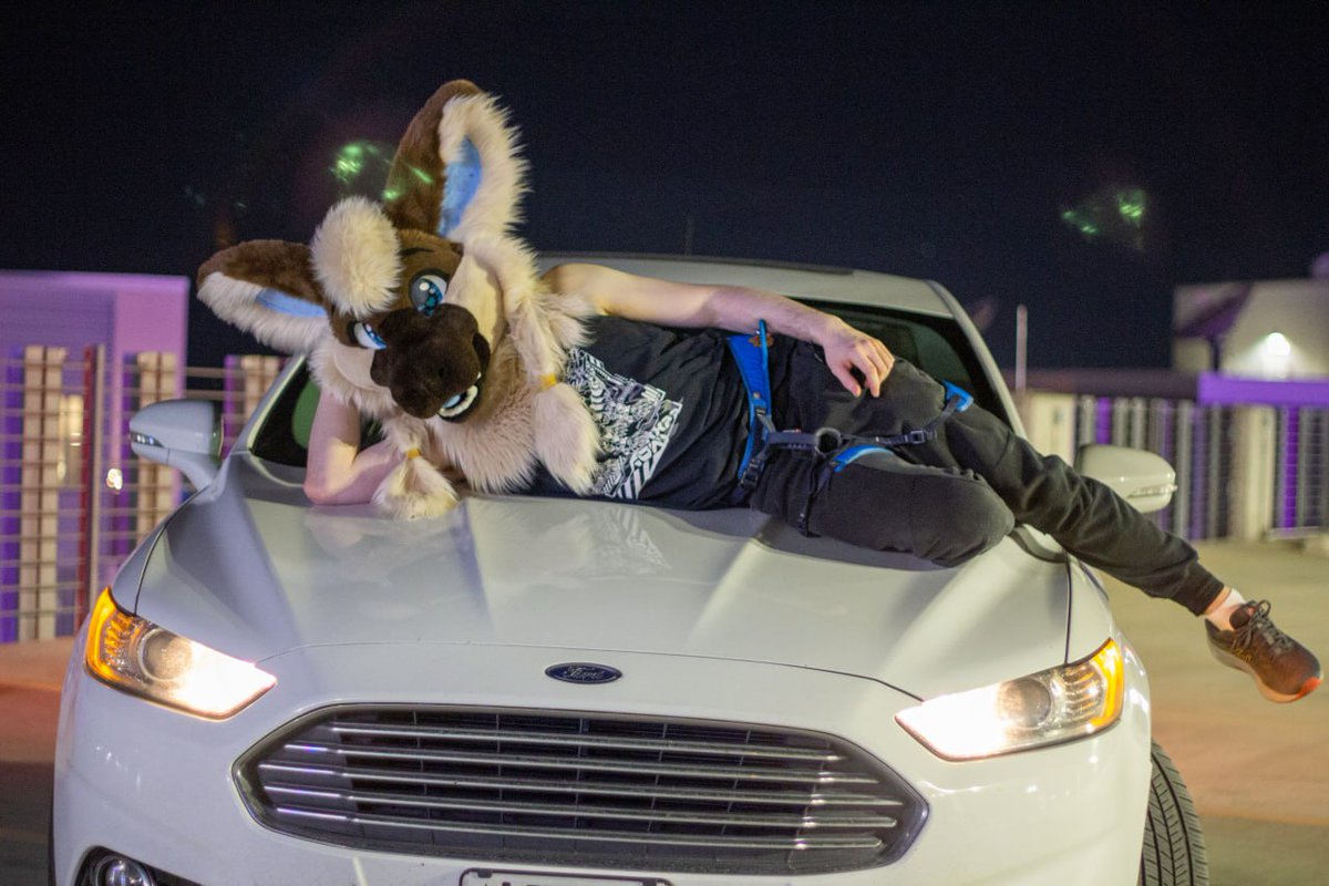 Odeza_TKDerg's tweet photo. It's #FursuitFriday bois! and that means it's weekend time!
Have some photos from #LSFC2025 last weekend :3
๐ธ: @Nuviuq https://t.co/5aqqYKXYjT