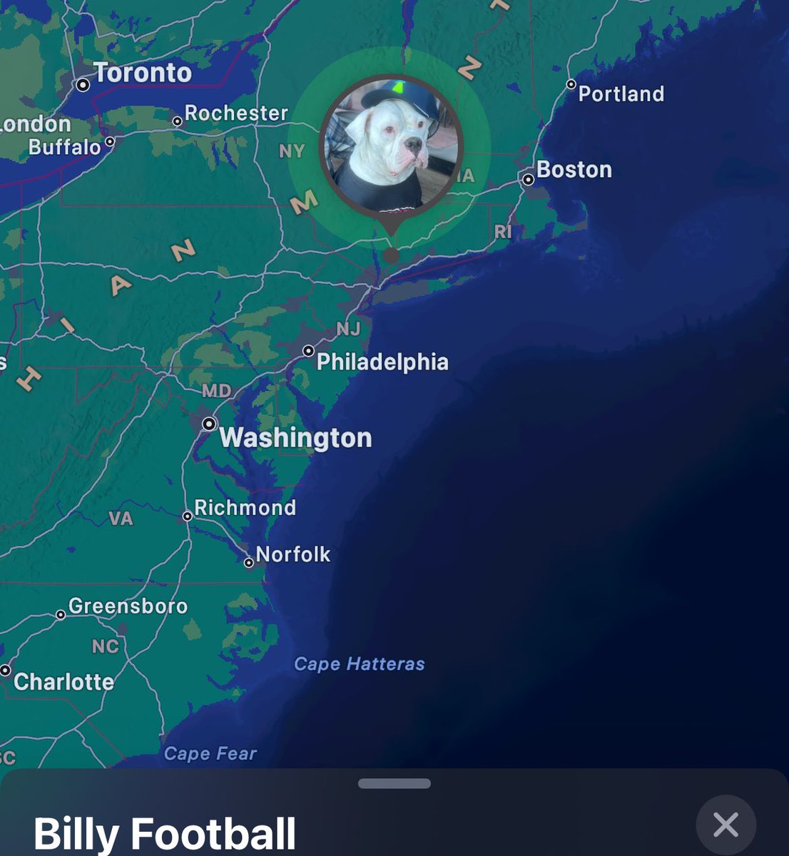 The Wonton Don tweet media