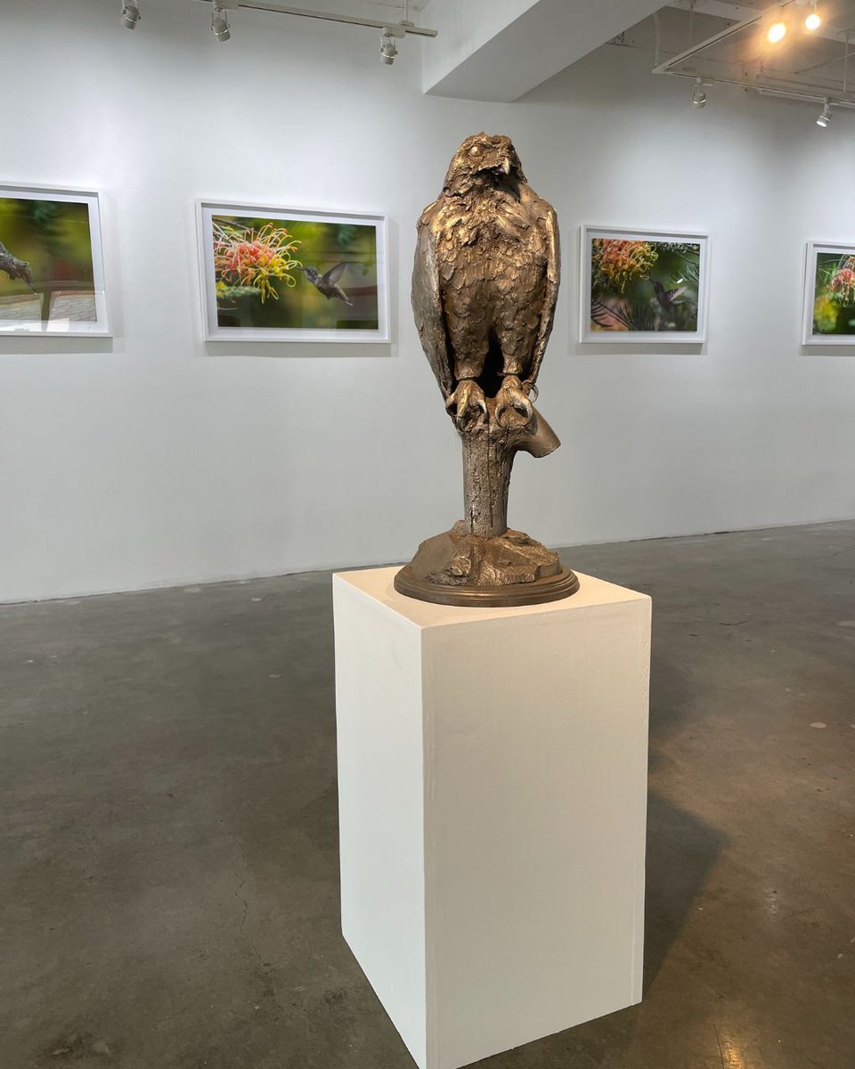 5D Spectrum tweet media