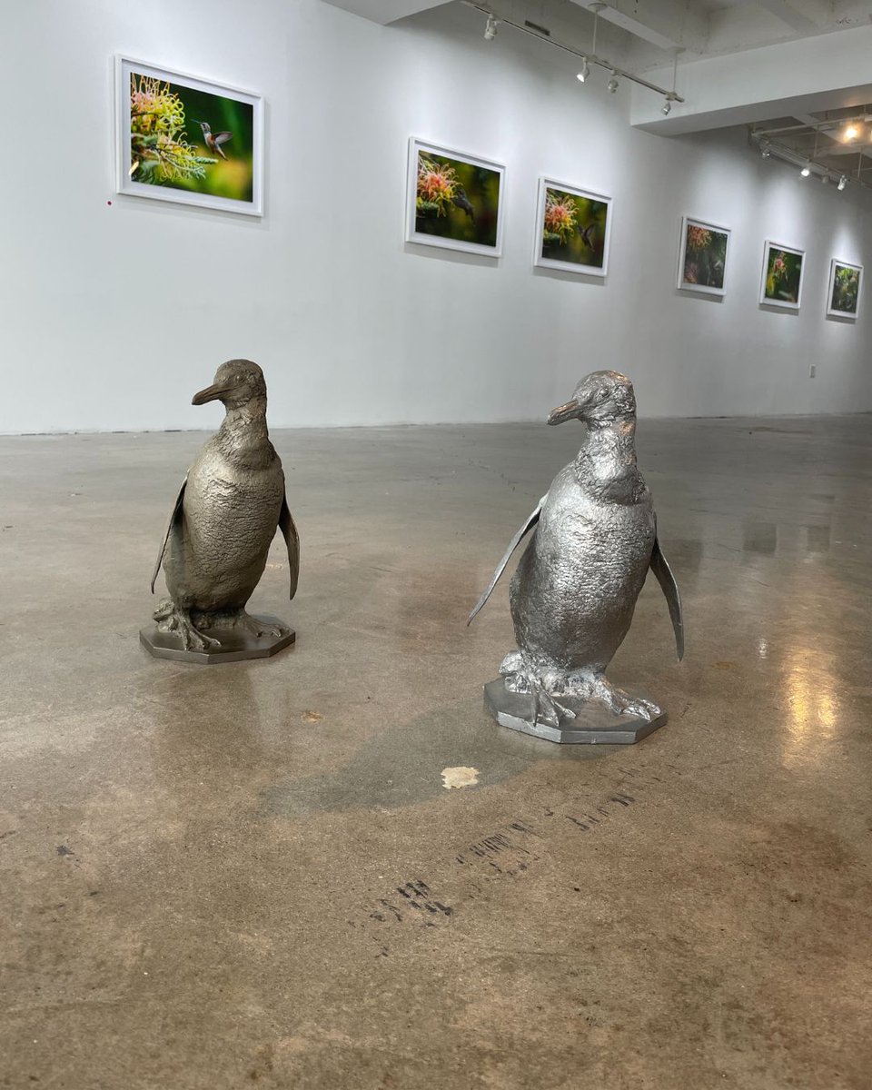 5D Spectrum tweet media