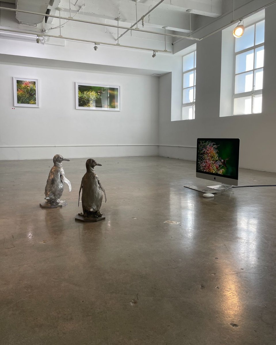 5D Spectrum tweet media