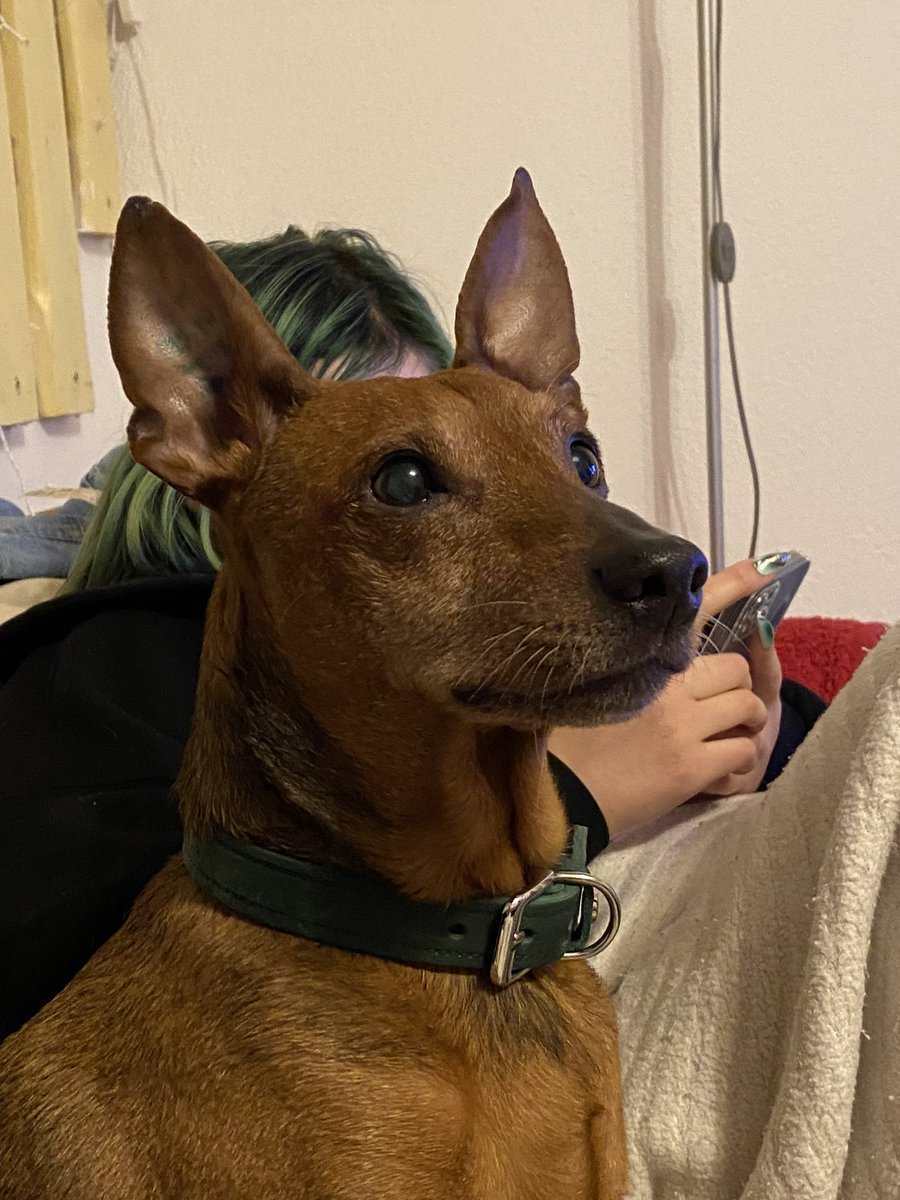 léticio 🐧 tweet media