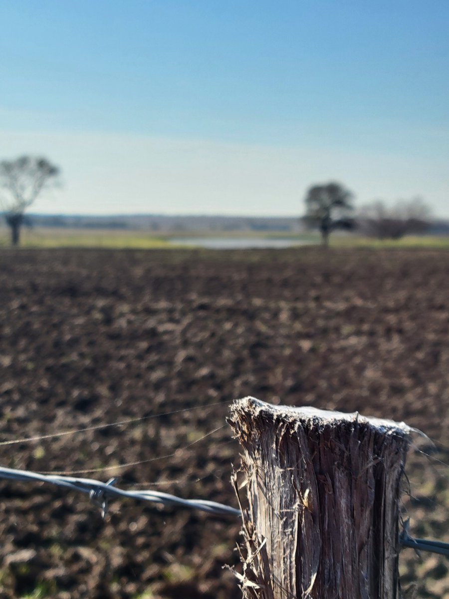 ImmaSouthpaw tweet media