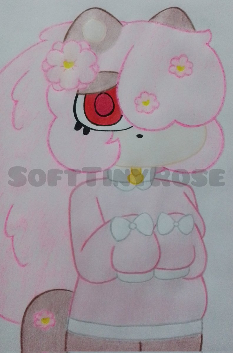 🐇 ۫ Ꮺ ¡ Rosemary ! tweet media