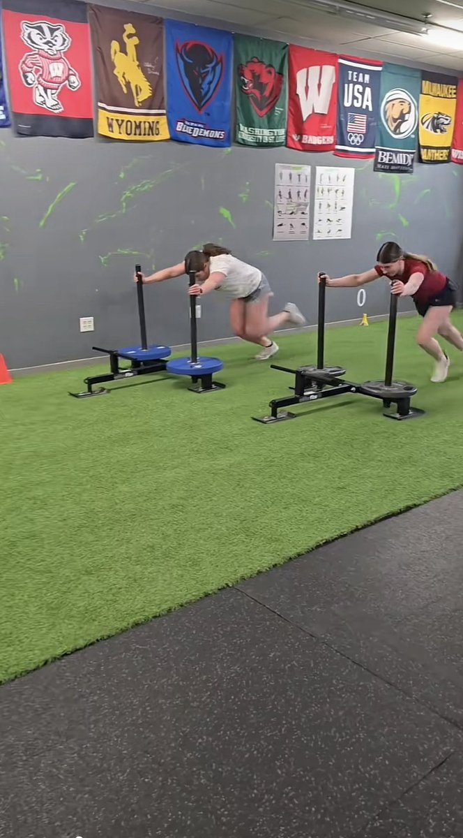 Elise Warnock 2027 tweet media