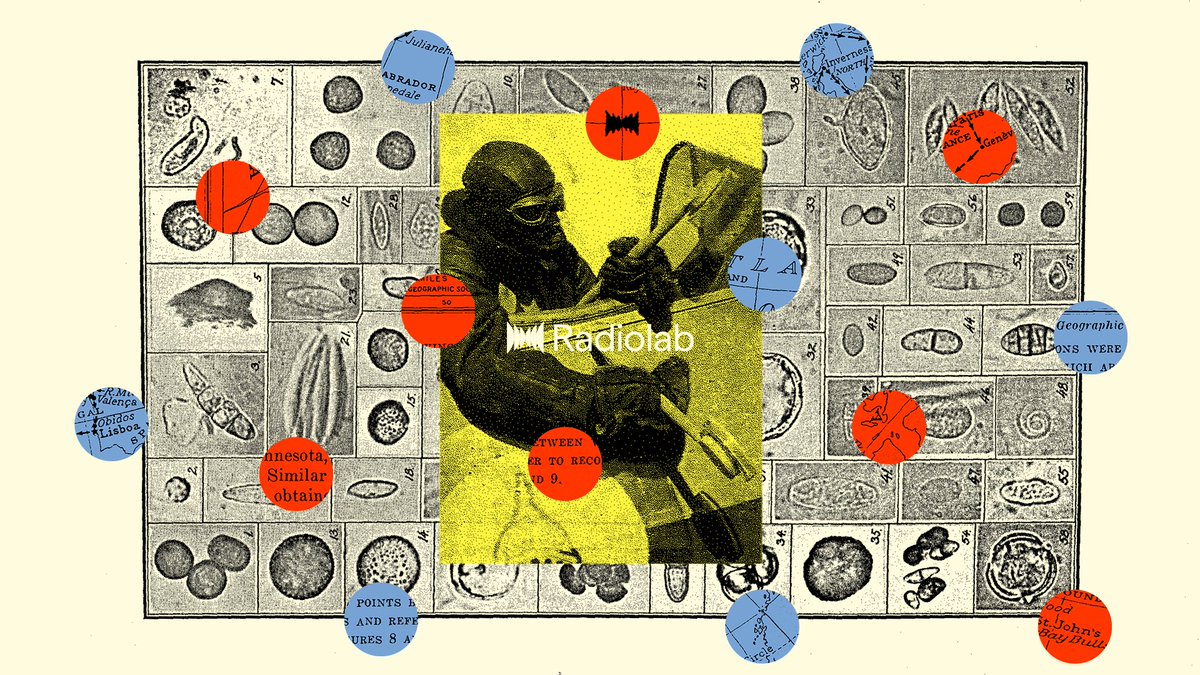 One hundred years ago a watermelon doctor had a theory that would have revolutionized our understanding of illness. But he disappeared into thin air just as his discoveries were taking off. Science journalist extraordinaire Carl Zimmer tells us the story. lnk.to/radiolab!x