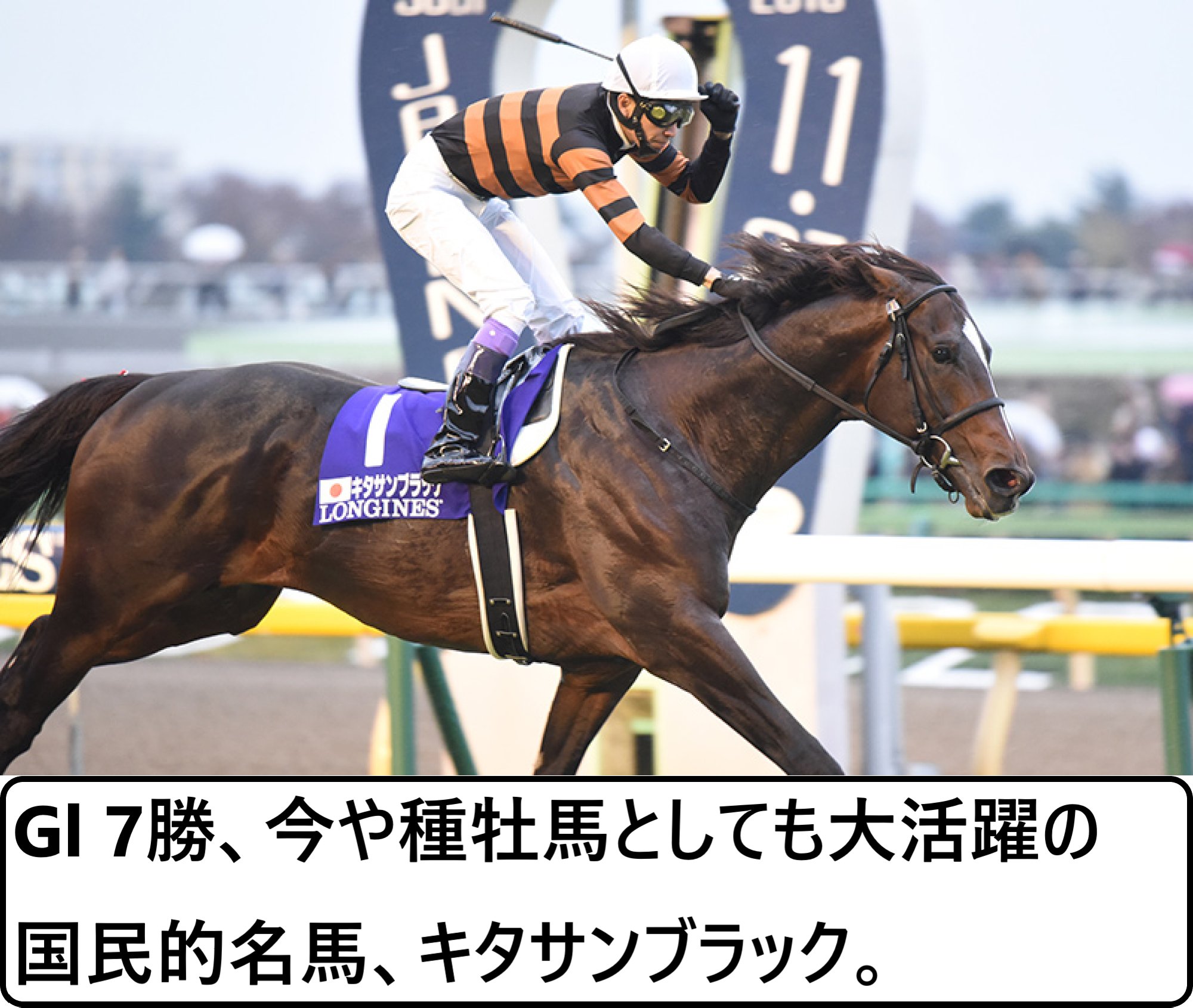 ホースレーシング2019　キタサンブラック jambalaya_25thc2r-09p