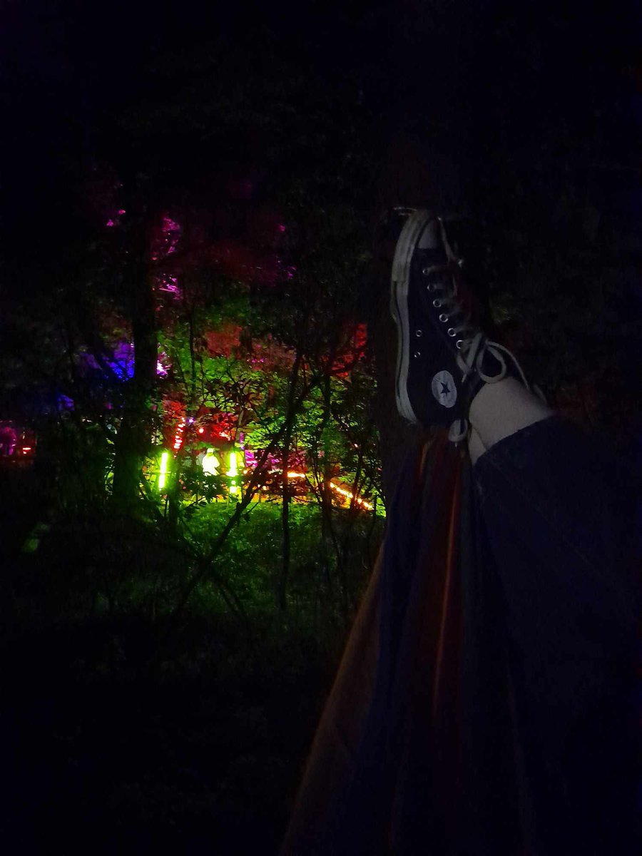 reika | saw charli at sziget :3 tweet media